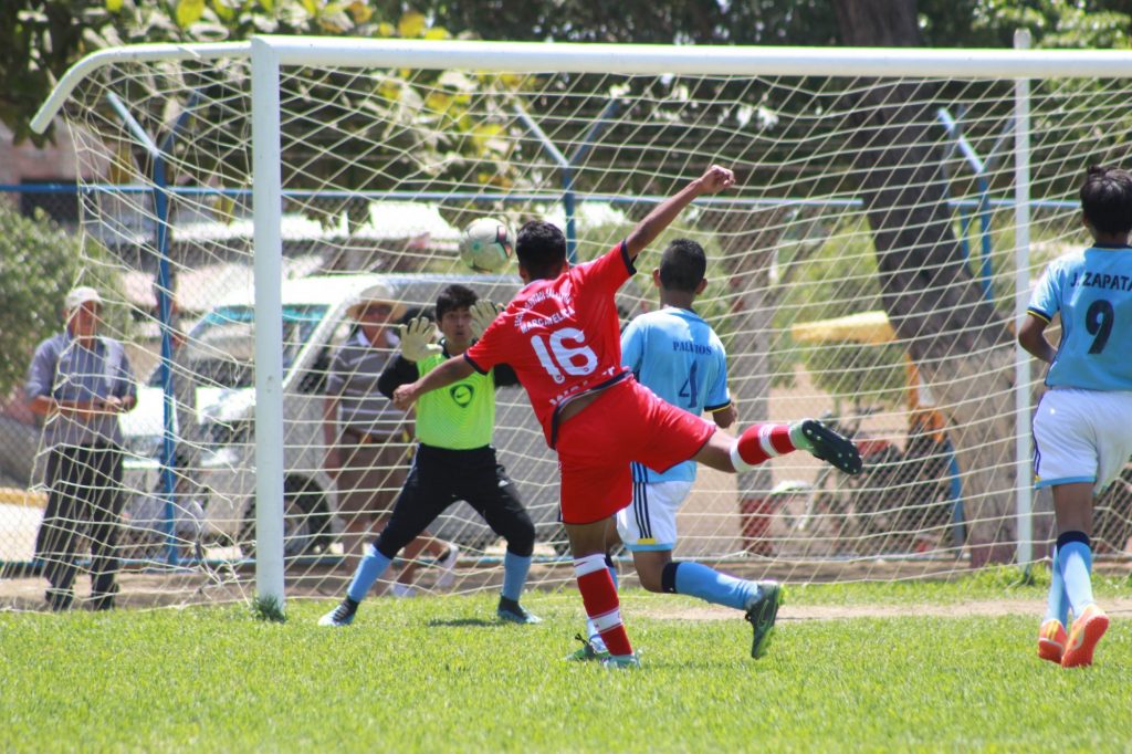 Sub 14 de la Copa Federativa arranca también mañana.