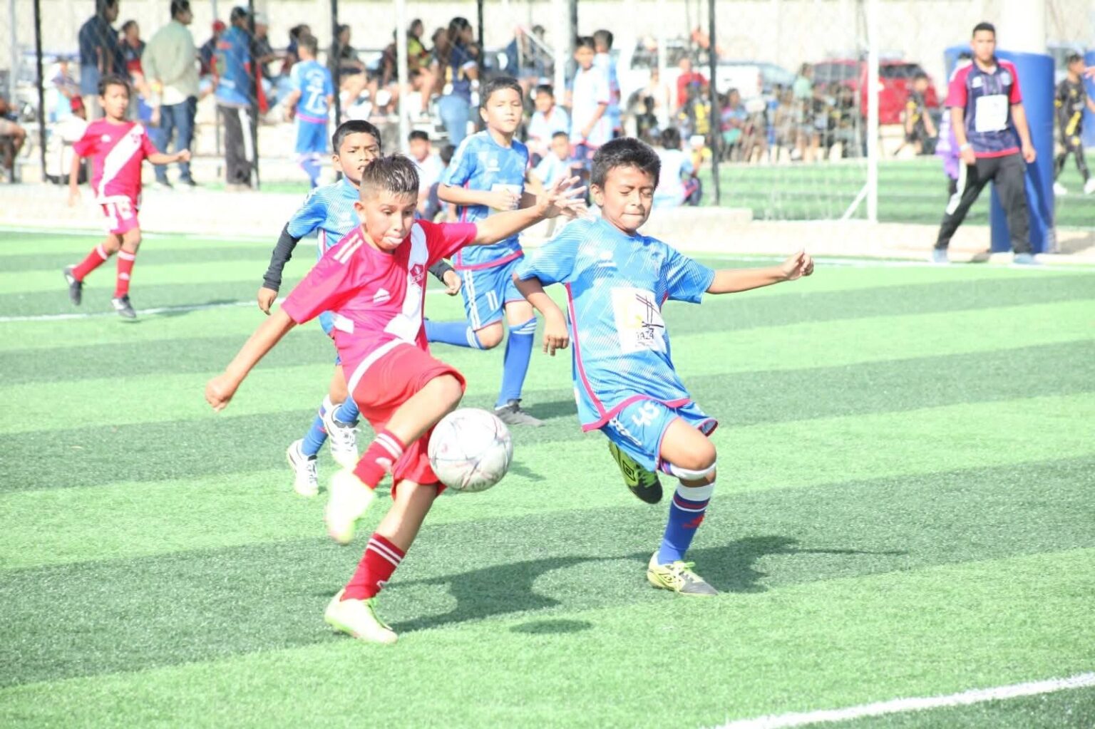 Comisión de Justicia tomó decisión drástica en el torneo de menores de Creciendo.